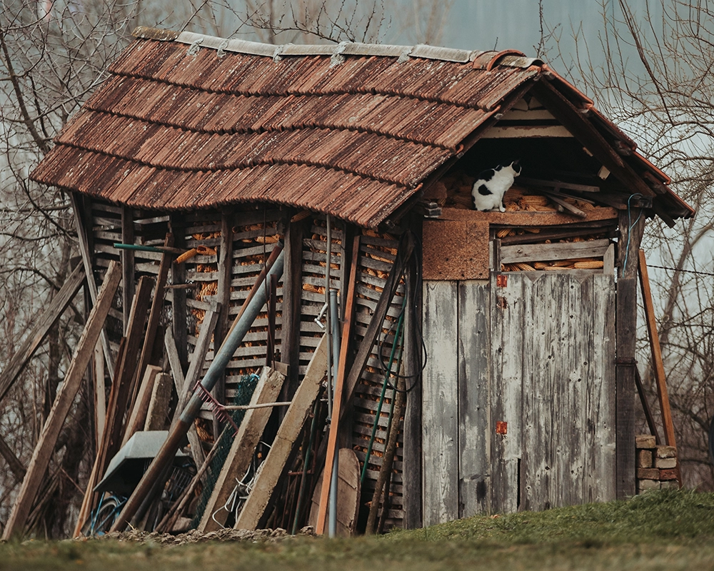 Old rickety shed ready for demolition and removal