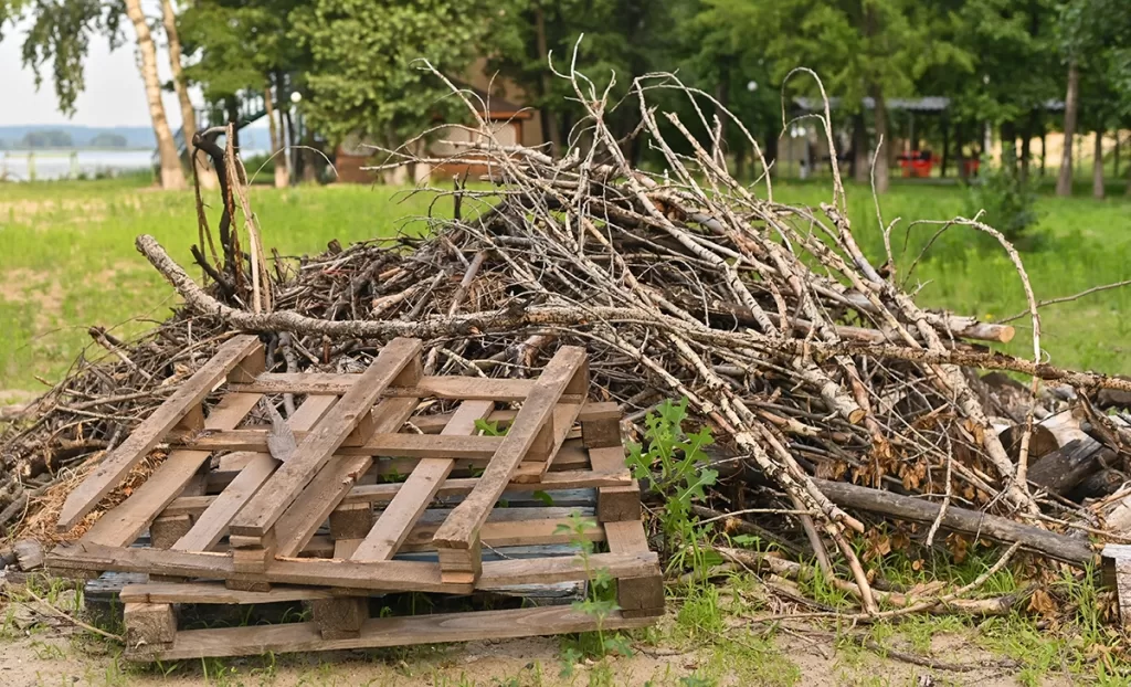 Tree branches and brush debris from a property