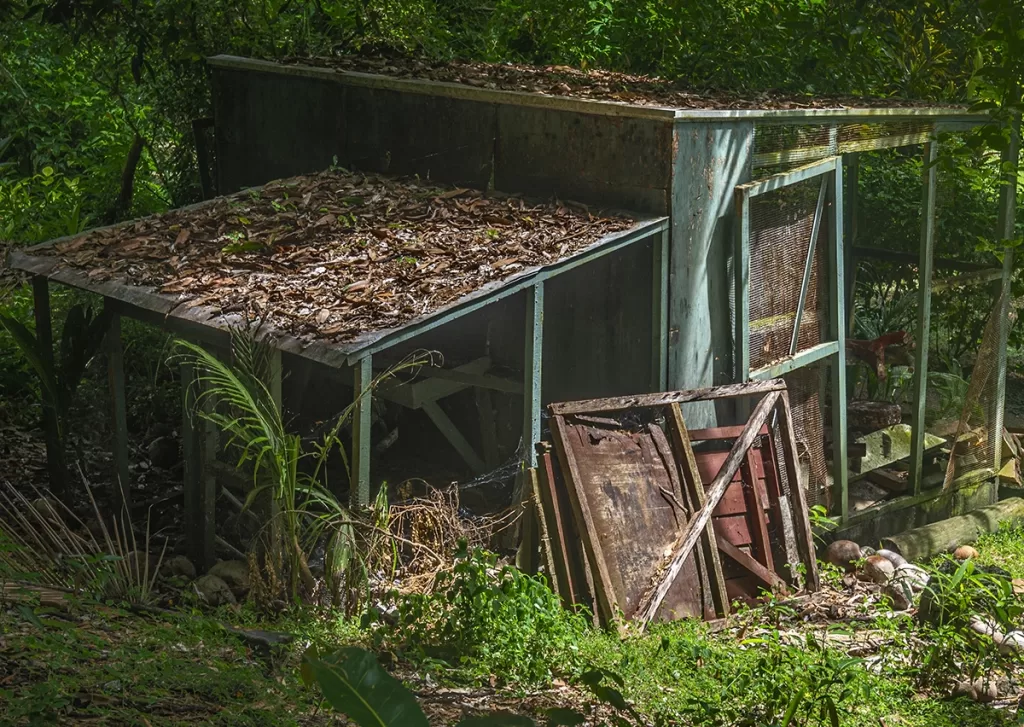 Old chicken coop being removed from a backyard in Tate, Georgia